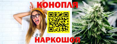 мет Можга
