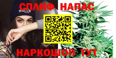 мет Можга