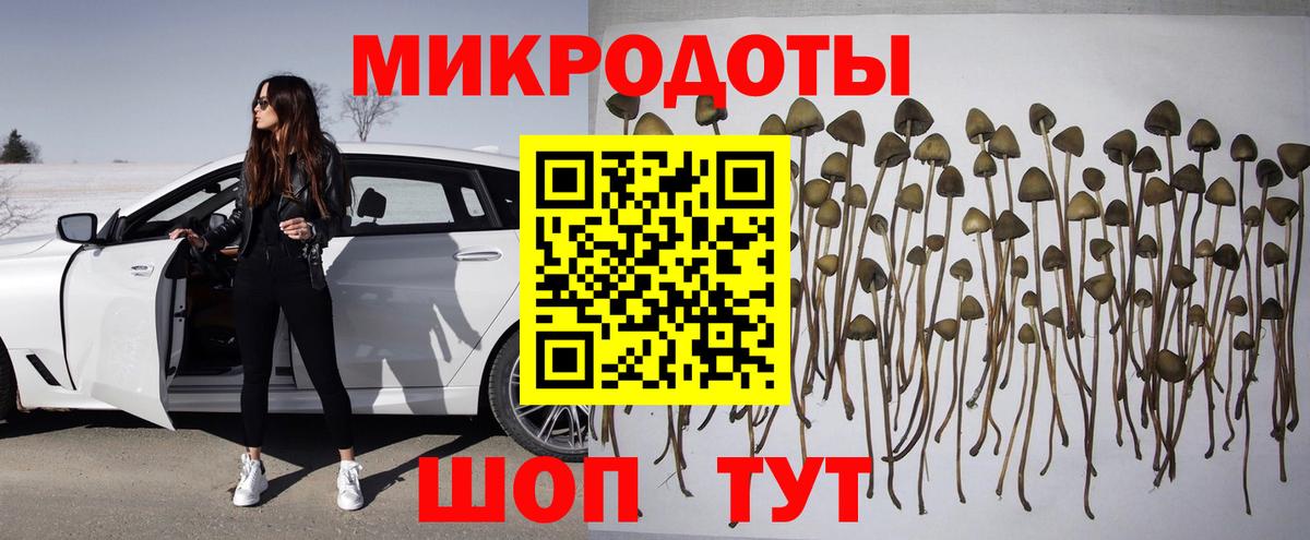 Галлюциногенные грибы Cubensis  Вход с VPN  Спасск-Дальний  Псилоцибиновые грибы ЛСД 